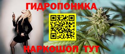 spice Кинель