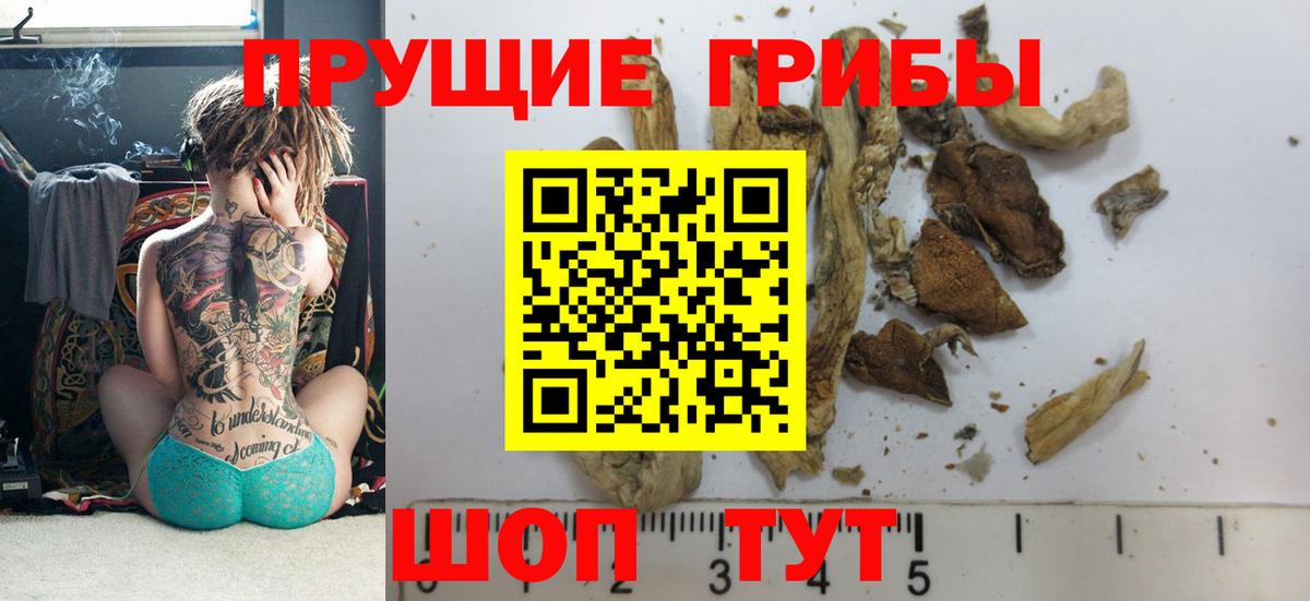 Псилоцибиновые грибы Magic Shrooms Корсаков